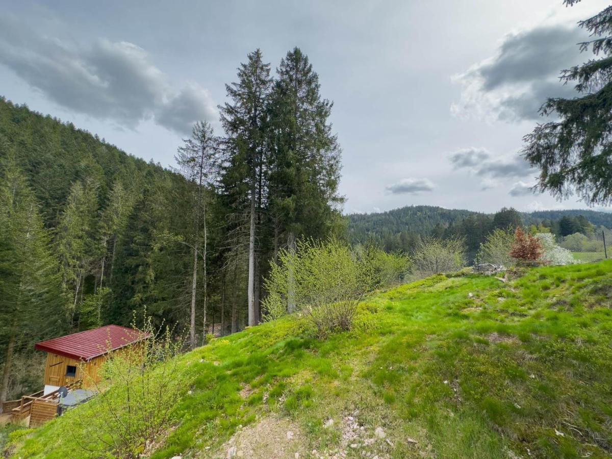Le Refuge Perche Du Saut De La Bourrique Spa, Terrain Cloture Gérardmer Dış mekan fotoğraf
