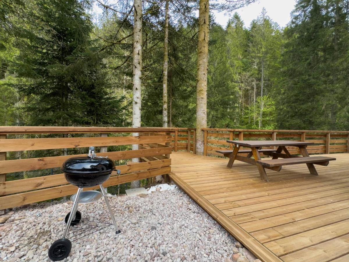 Le Refuge Perche Du Saut De La Bourrique Spa, Terrain Cloture Gérardmer Dış mekan fotoğraf