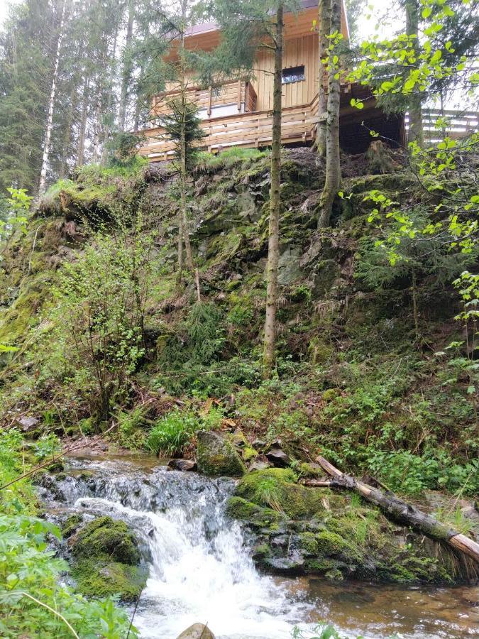 Le Refuge Perche Du Saut De La Bourrique Spa, Terrain Cloture Gérardmer Dış mekan fotoğraf