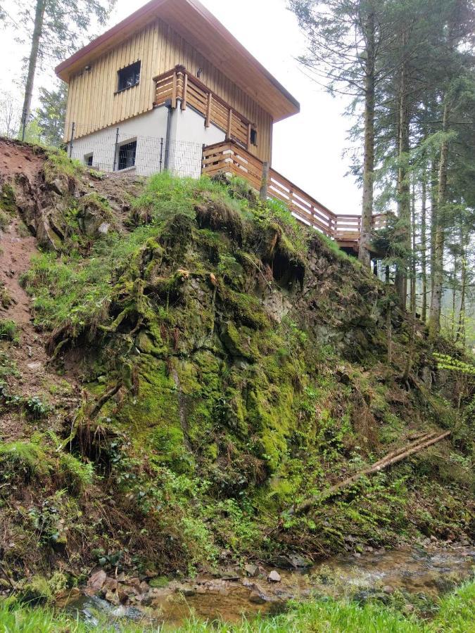 Le Refuge Perche Du Saut De La Bourrique Spa, Terrain Cloture Gérardmer Dış mekan fotoğraf