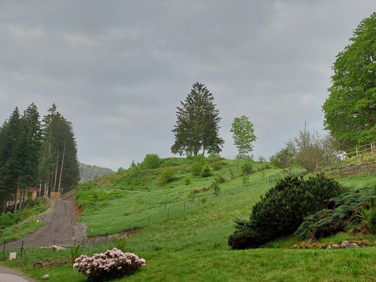 Le Refuge Perche Du Saut De La Bourrique Spa, Terrain Cloture Gérardmer Dış mekan fotoğraf