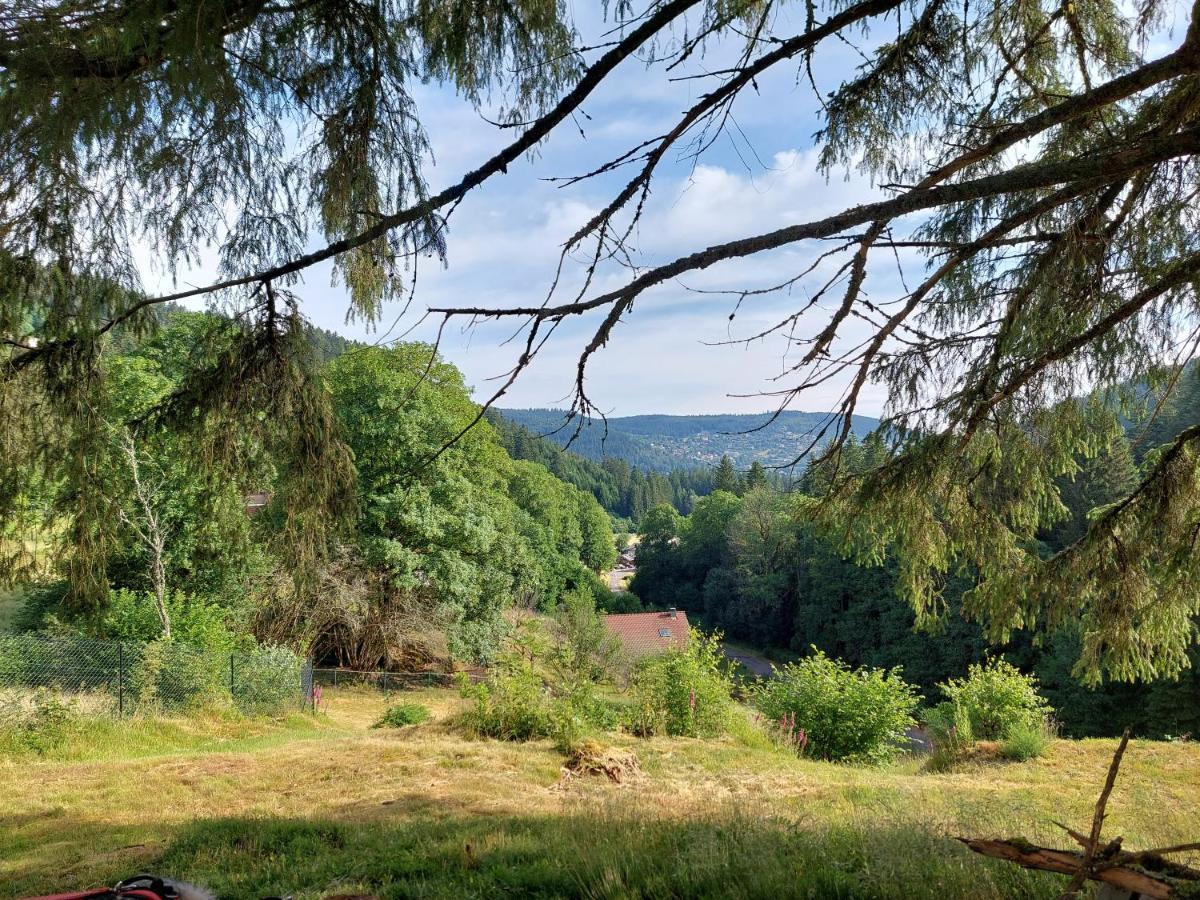Le Refuge Perche Du Saut De La Bourrique Spa, Terrain Cloture Gérardmer Dış mekan fotoğraf